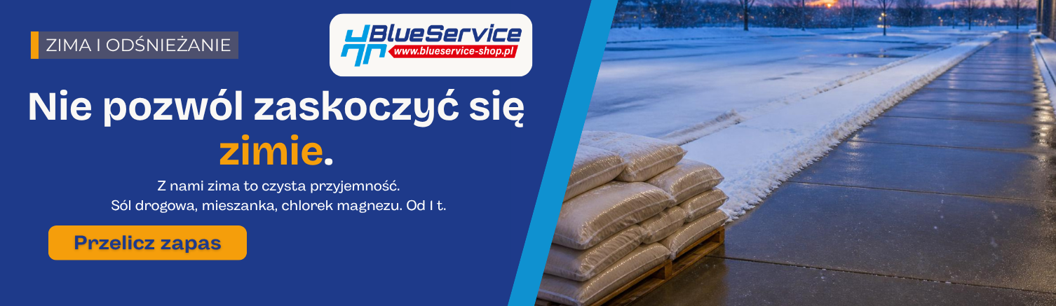 Akcja zima 2026 Blue Service