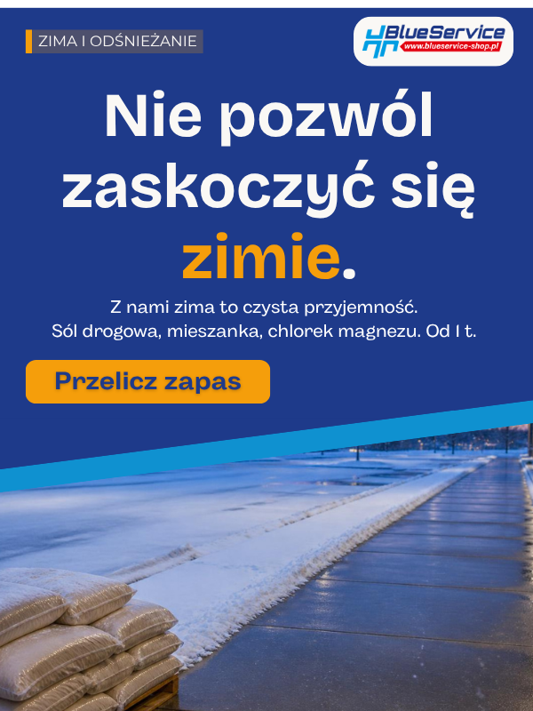 Akcja zima 2026 Blue Service